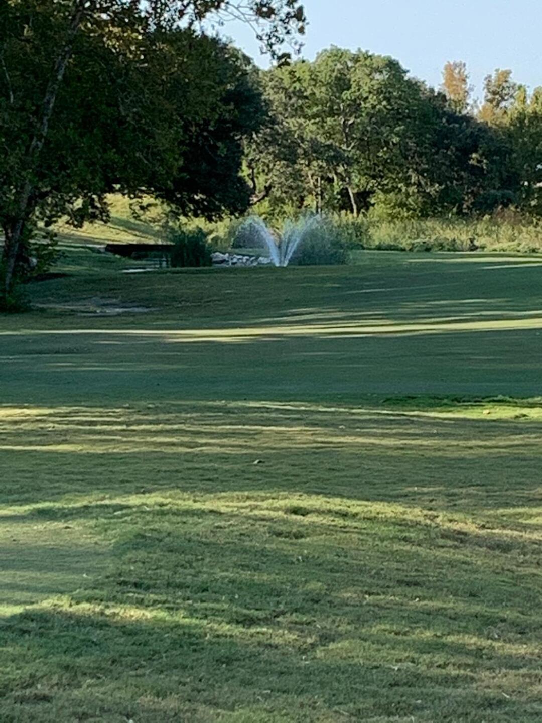 (Photo submitted by Bigwood48 on 10/02/2020)