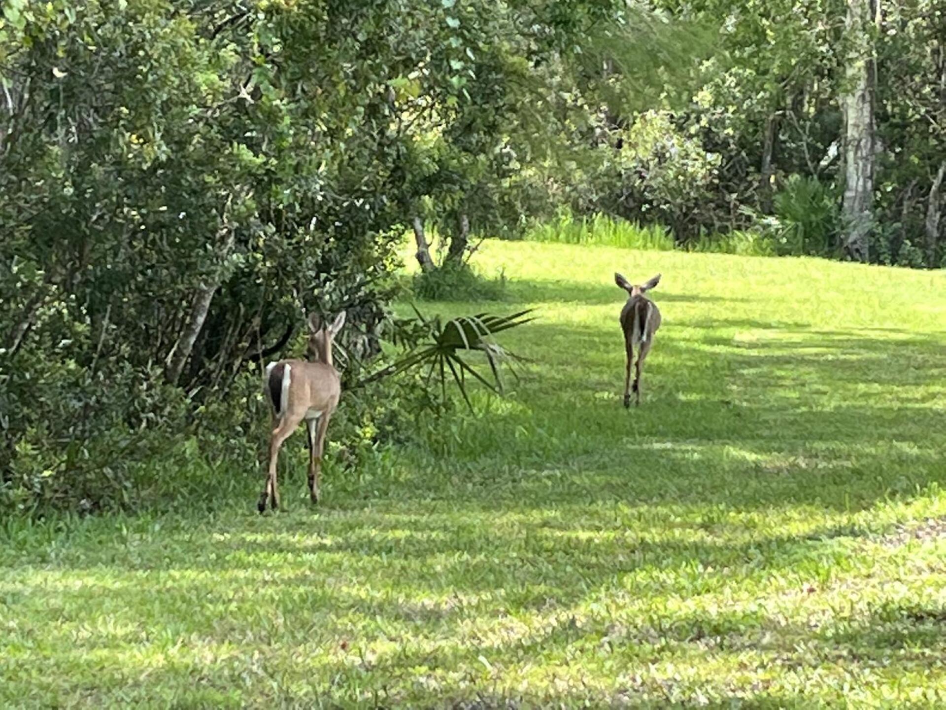 16th. Hole. (Photo submitted by u000006754968 on 09/16/2022)