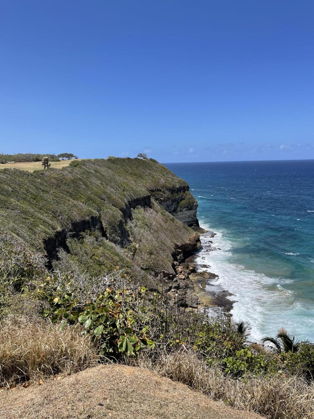 (Photo submitted by u314159457855 on 03/29/2023)