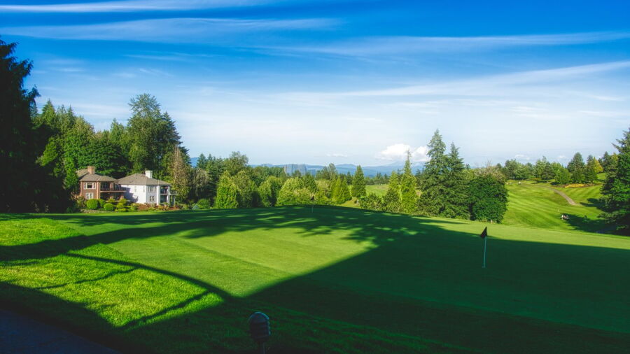 Persimmon CC