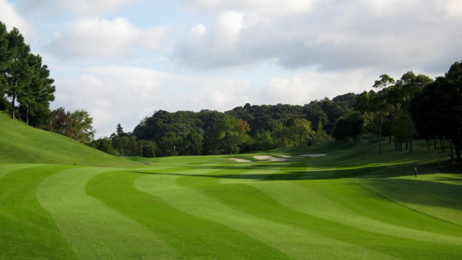 Golden Cross CC: #8
