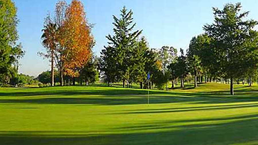 Alamo CC: #4