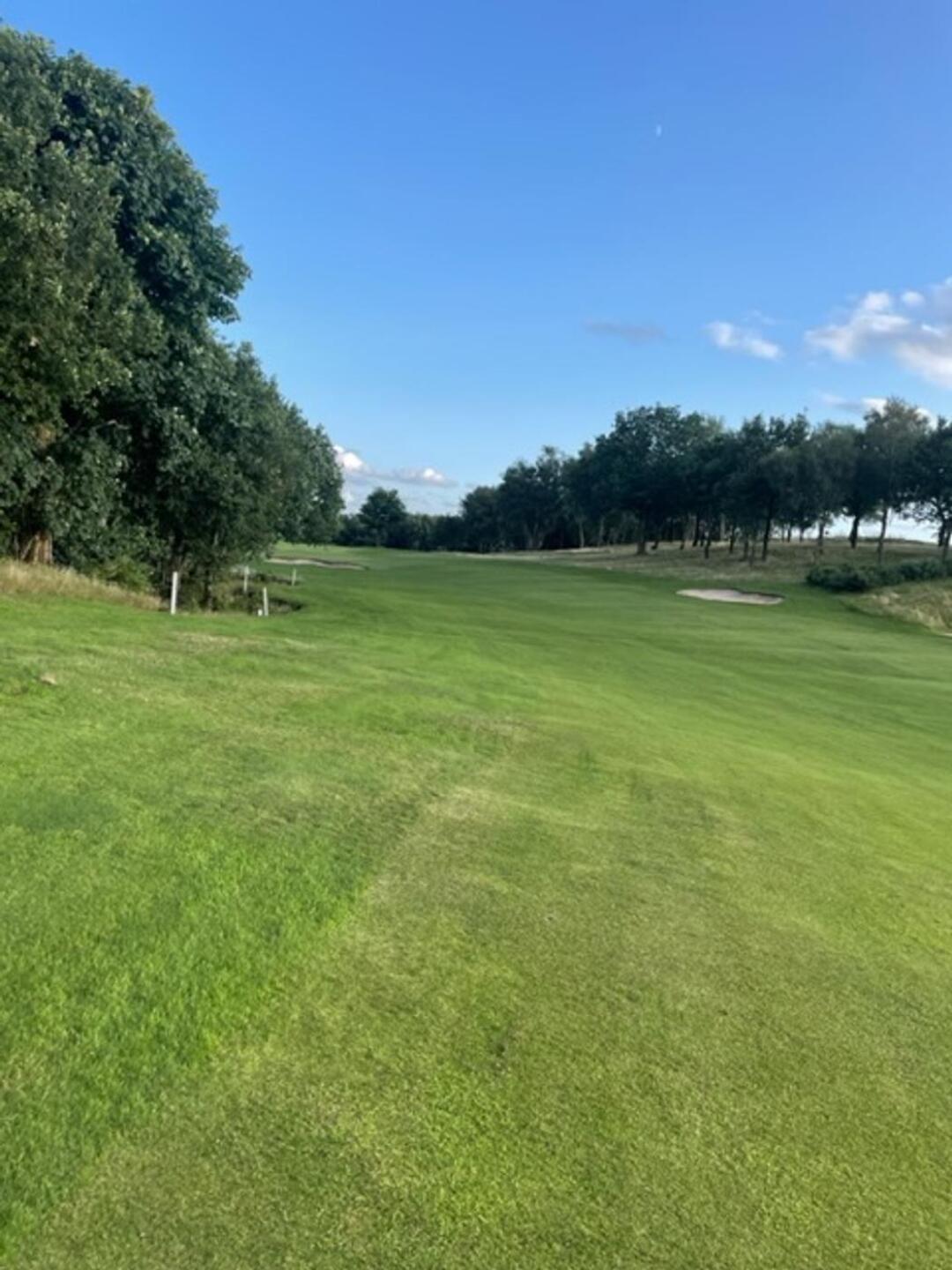 (Photo submitted by u314162268947 on 07/27/2023)