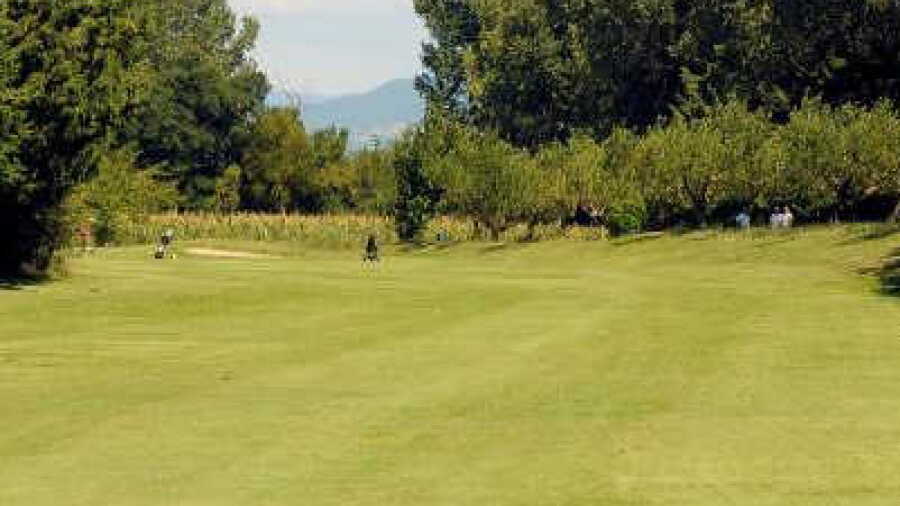 Orange GC: #3