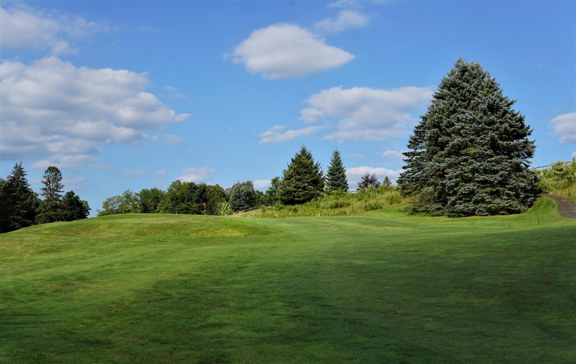 Hole eight, at only 363 yards, ranks as the #1 index here. The uphill approach to the green is only one reason why. (Photo submitted by AptlyLinked on 09/06/2023)