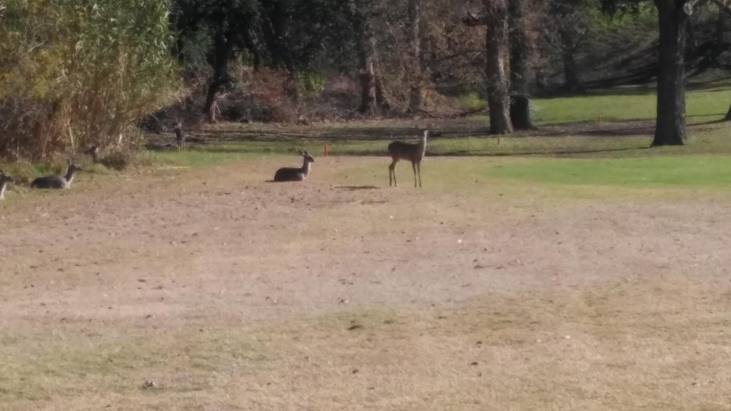 (Photo submitted by VernonG9044437 on 12/30/2015)