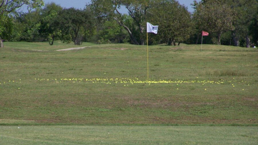 Victoria CC: Practice area
