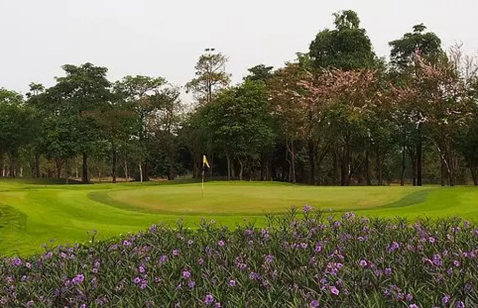 Phoenix Gold GCC - Ocean: #7