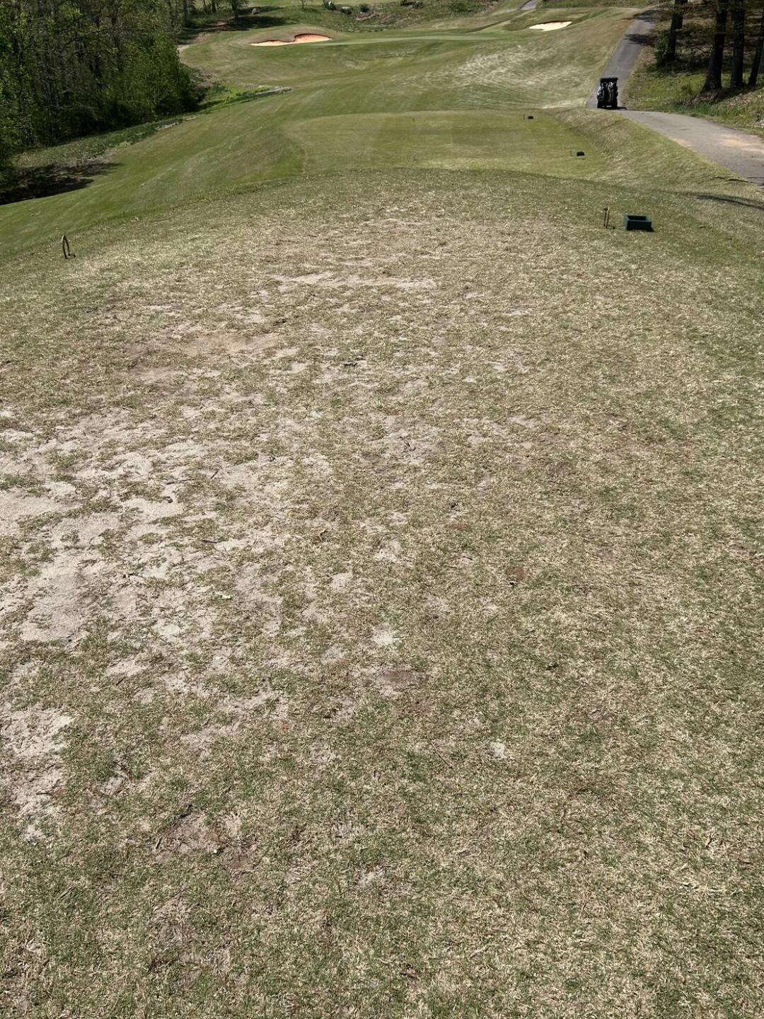 (Photo submitted by u1305602 on 05/14/2025)