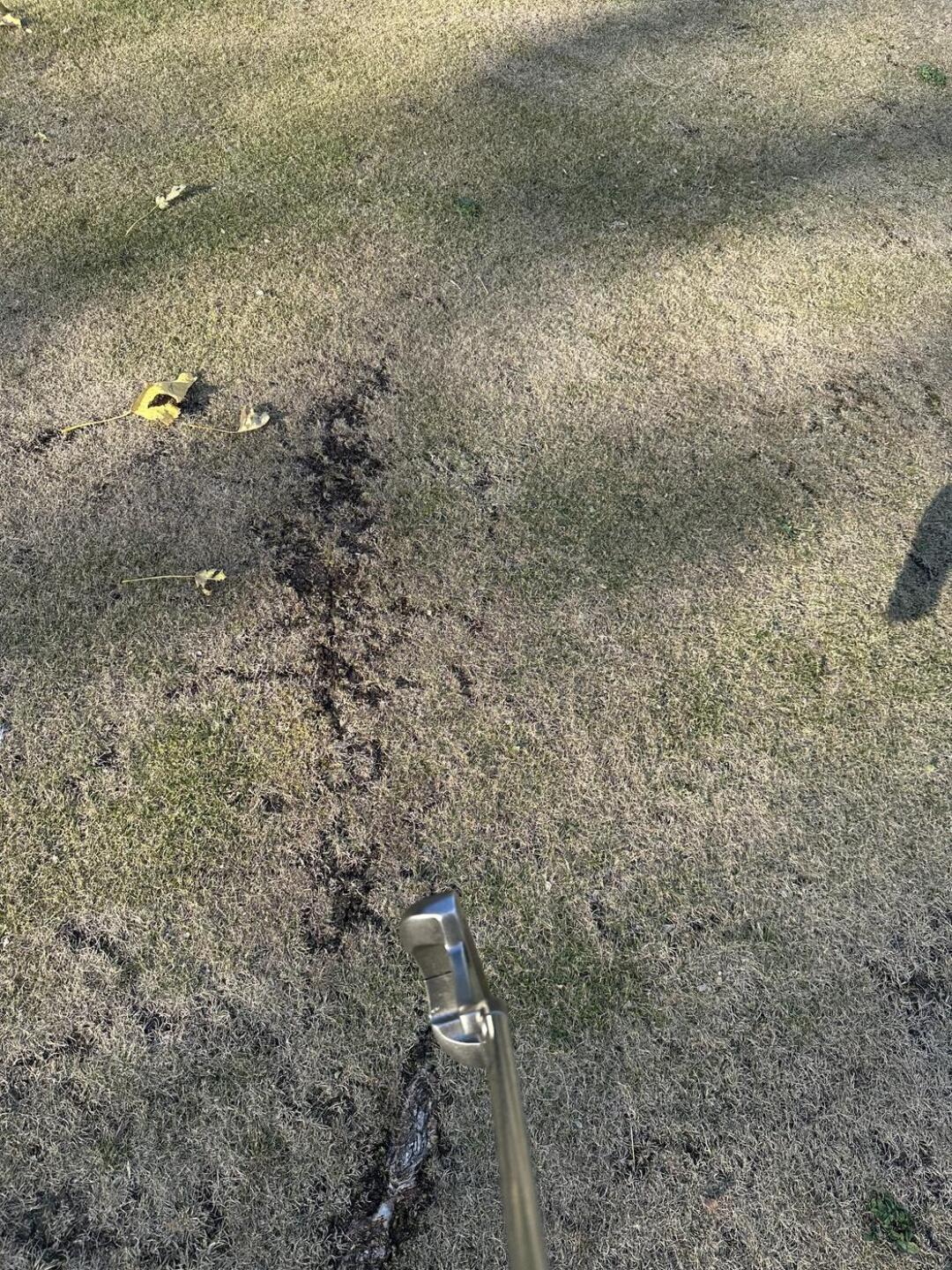 (Photo submitted by u314159270264 on 08/15/2025)