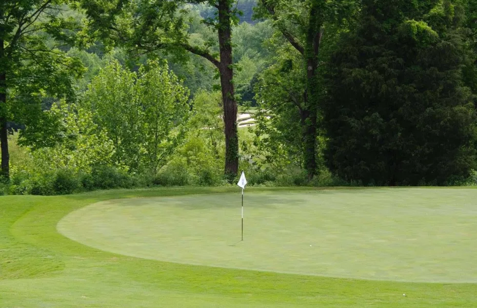 Brasstown Valley Resort