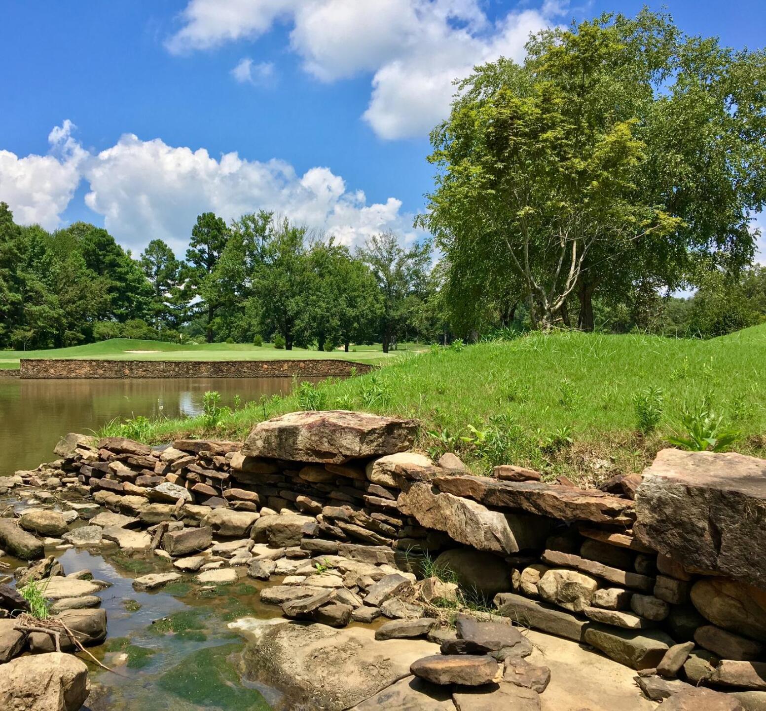 Par-3, 11th hole (Photo submitted by BrandonWebb on 07/07/2017)