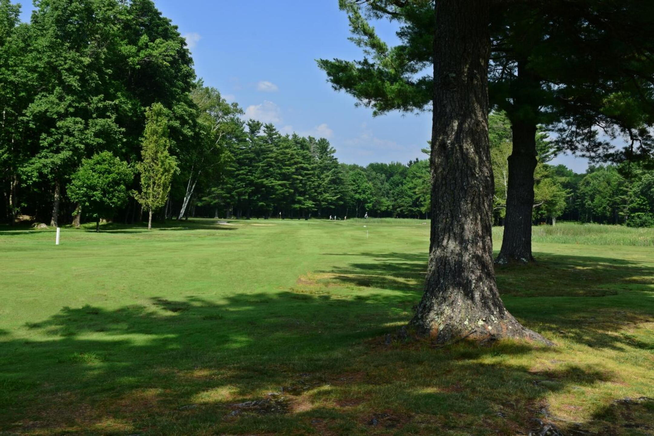Thirteen requires a precise tee shot to a landing zone at the elbow of this dogleg-left hole. (Photo submitted by AptlyLinked on 07/22/2025)