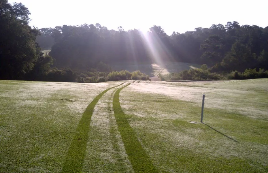 Eglin AFB GC - Falcon: #16