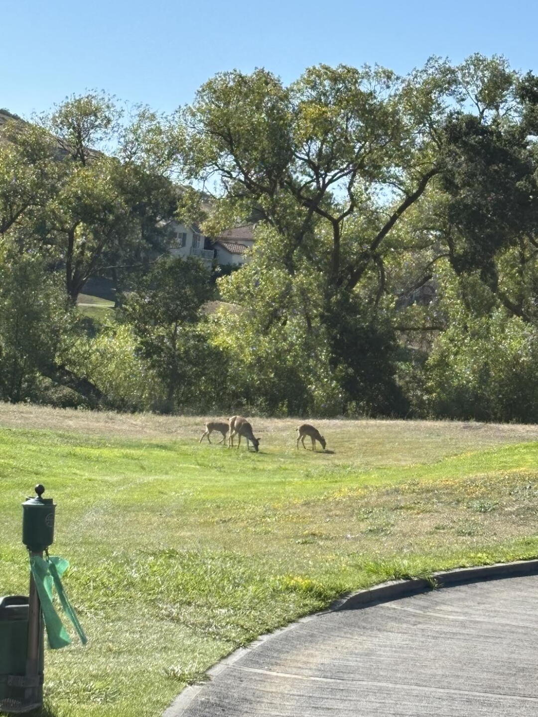(Photo submitted by u314164315788 on 07/31/2025)