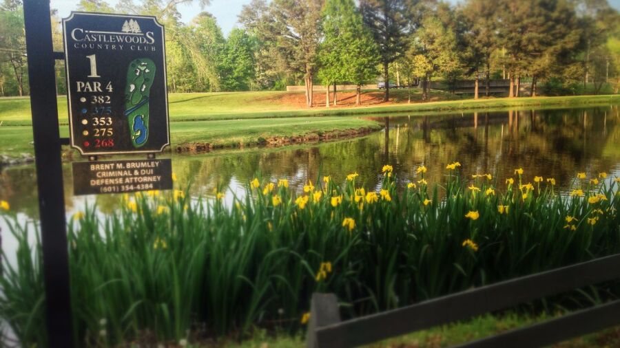 Castlewoods CC - Bear: #1