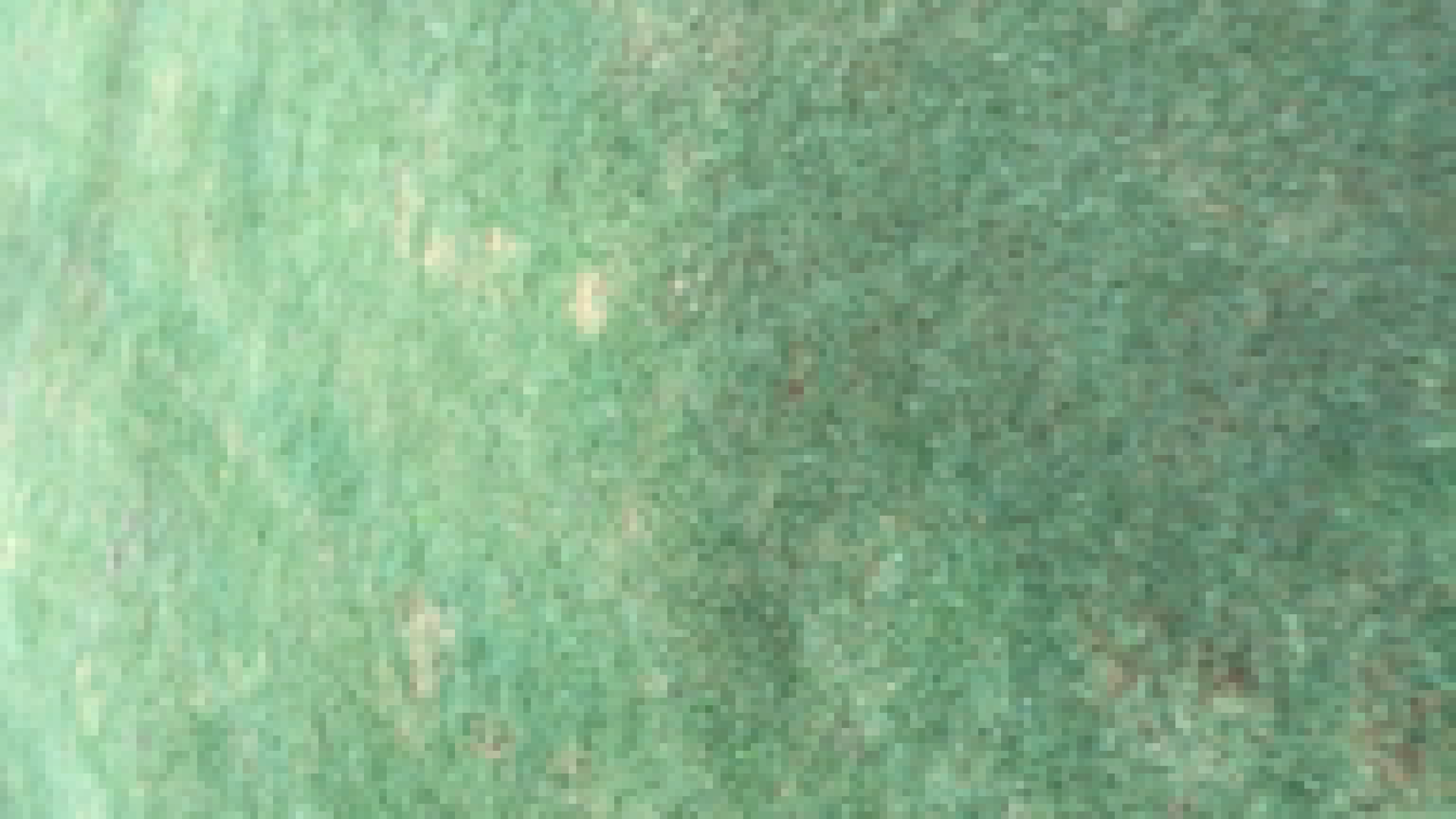 image-00001.png