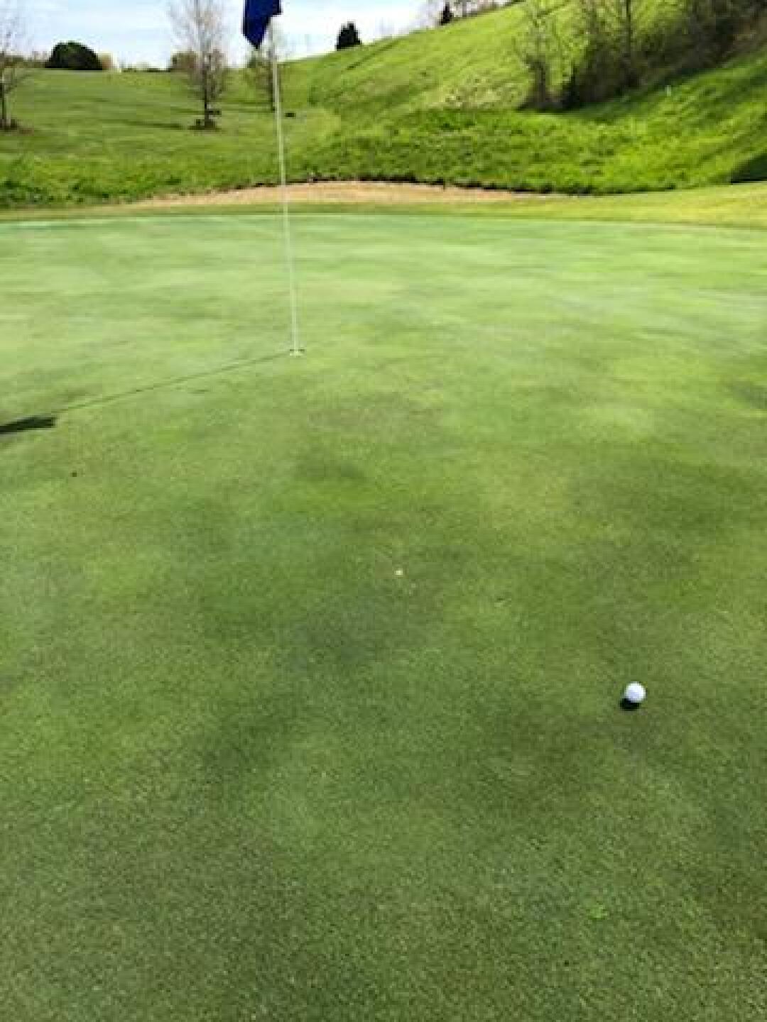 (Photo submitted by jarrodclay on 04/17/2019)