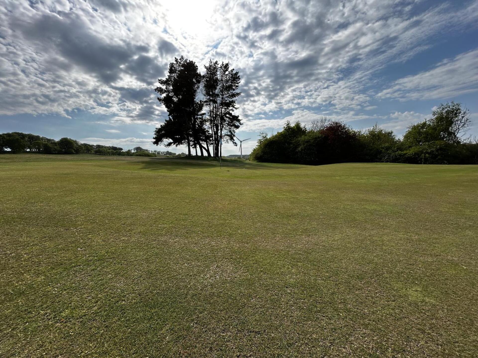 (Photo submitted by yQNwf2qIA2nXfLqwnZYr on 05/13/2025)