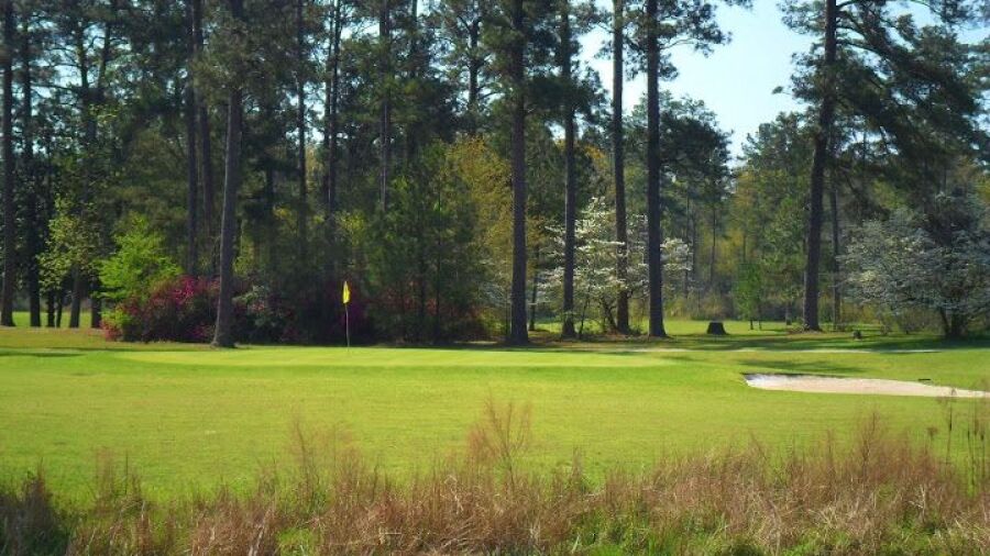 Evergreen GC: #3