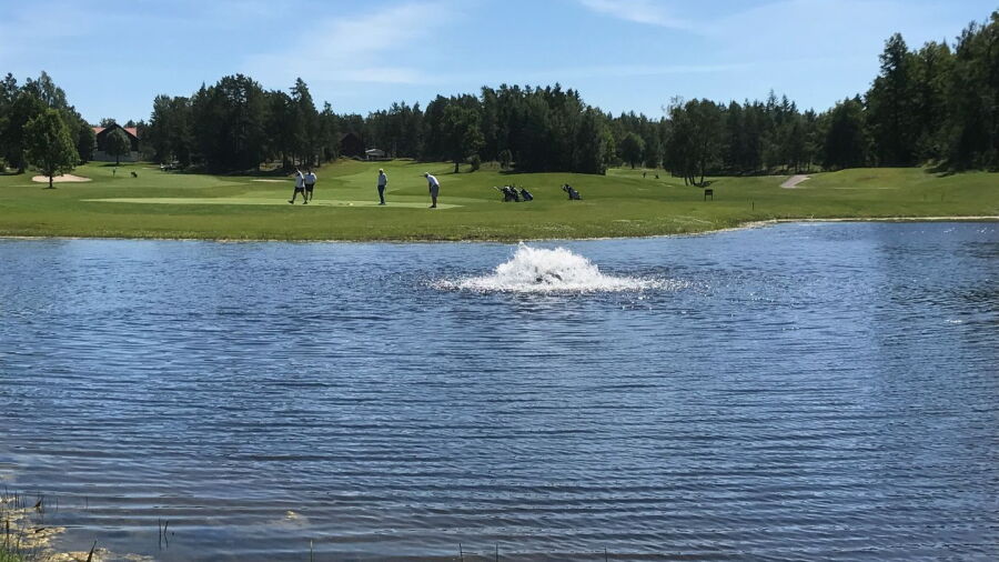 Oregrund GC
