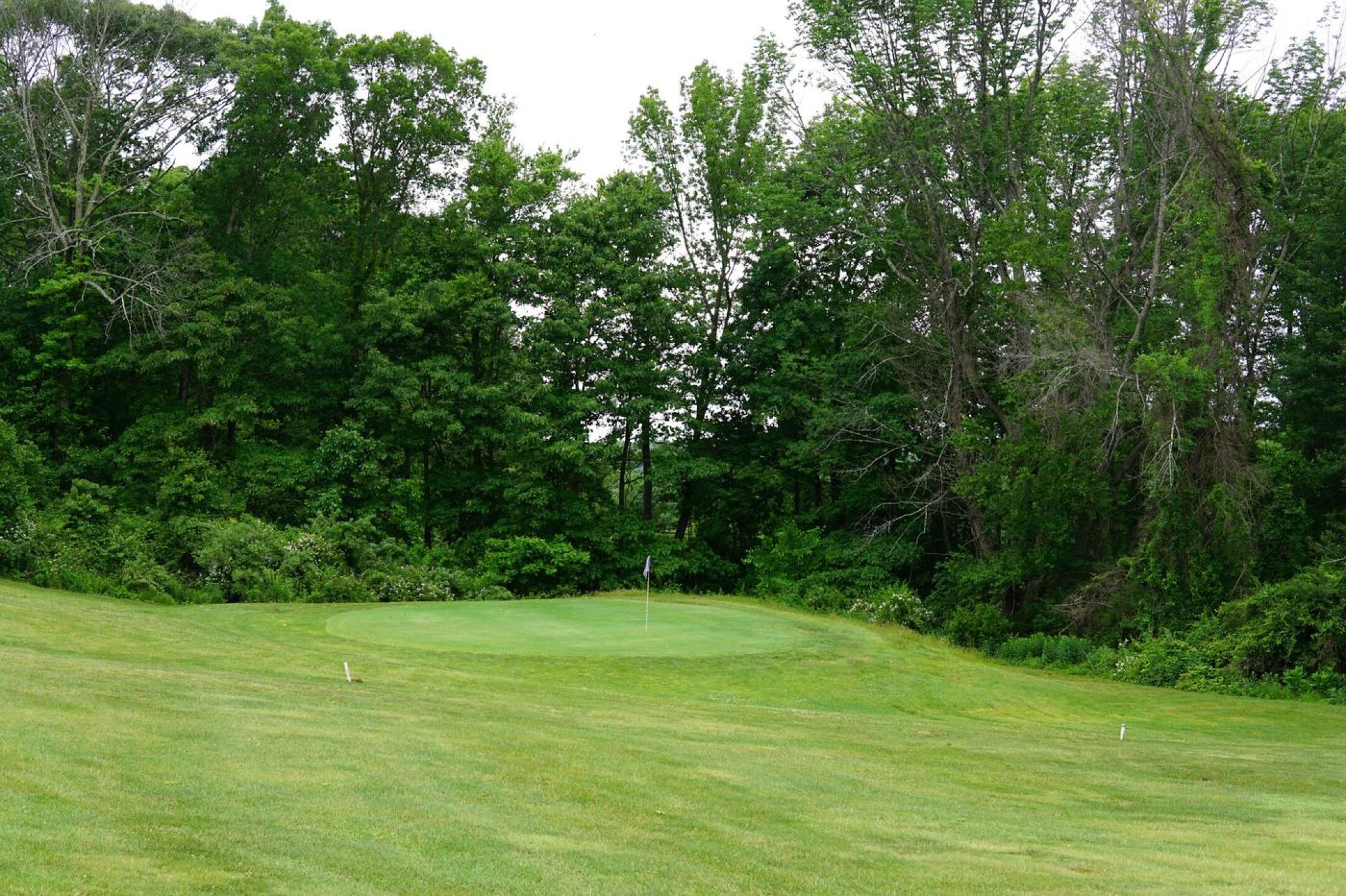 Even with a wedge in hand, the third green seems a very small target. (Photo submitted by AptlyLinked on 06/08/2023)