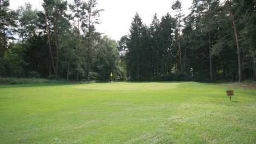 British Army GC Sennelager - Forest Pine: #1