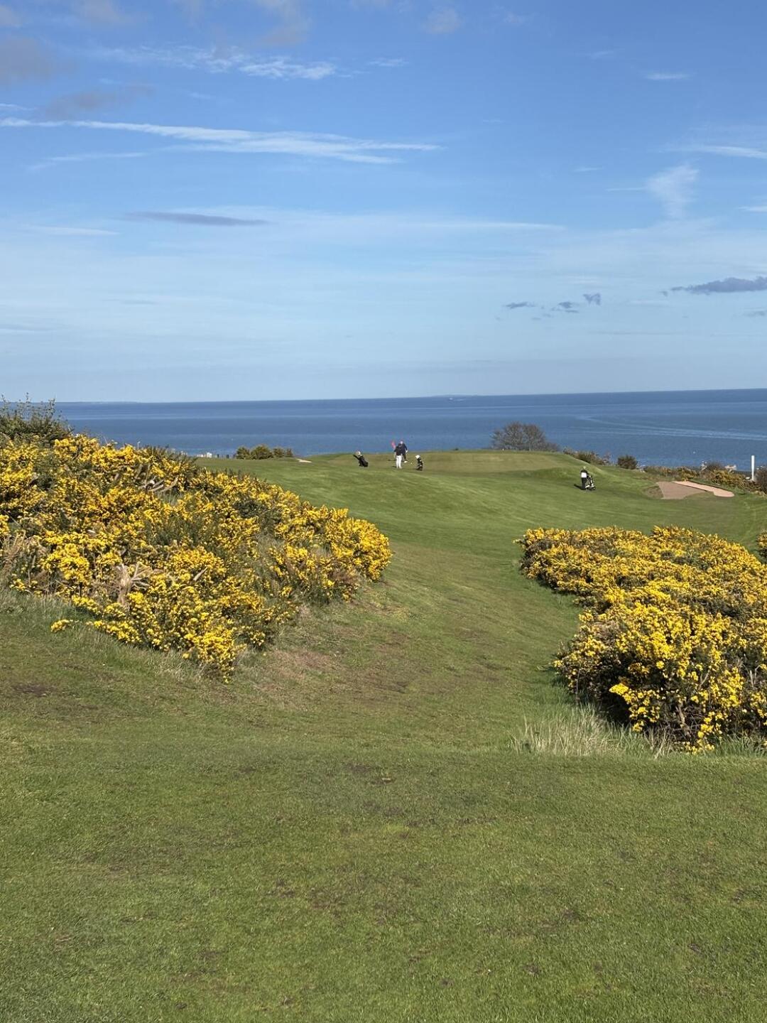 (Photo submitted by Gmacca09 on 04/06/2026)