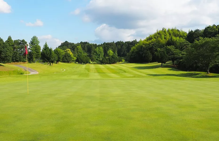 Ise Nakagawa CC: #12