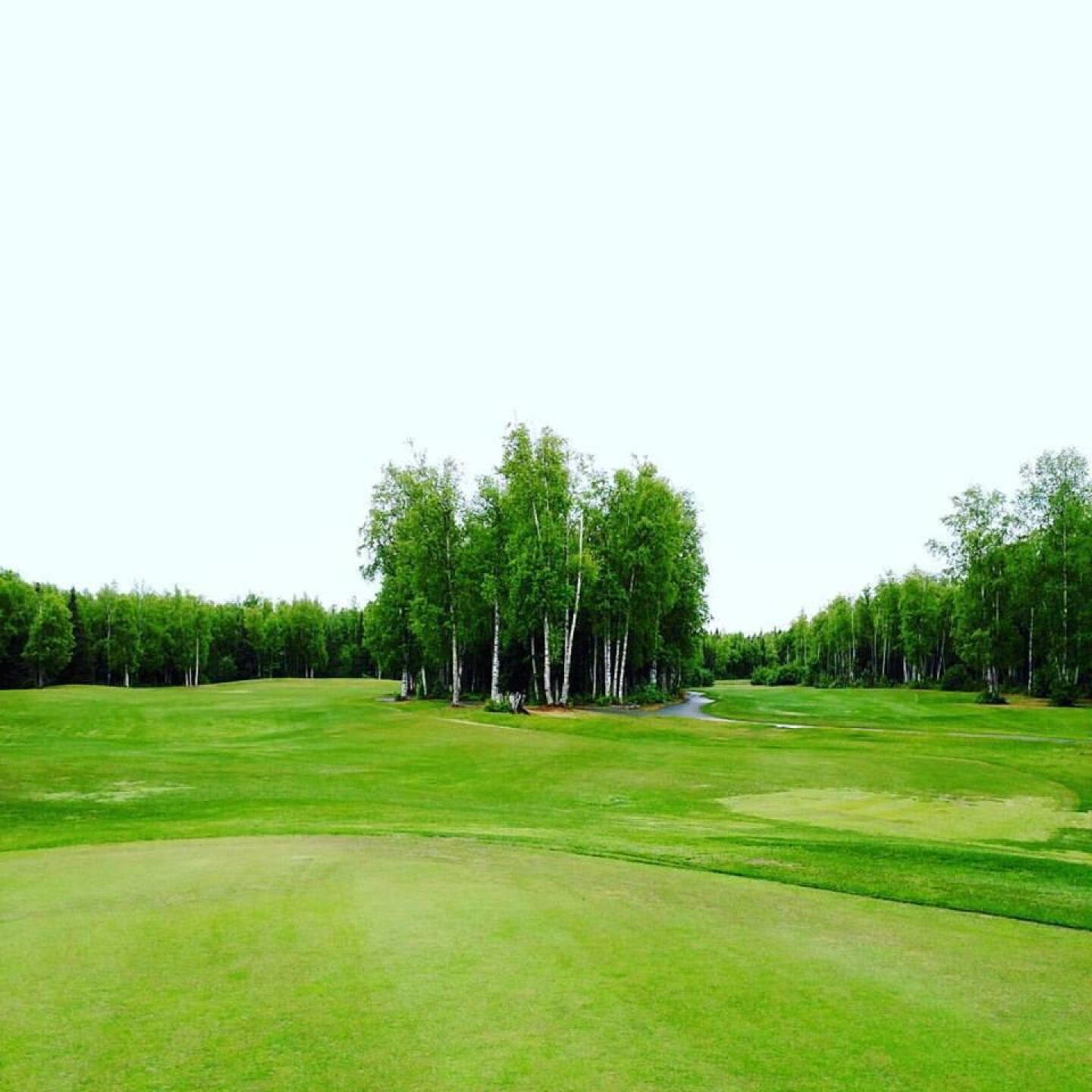 looking back at the split fairway from the green (Photo submitted by sorenj on 06/12/2017)