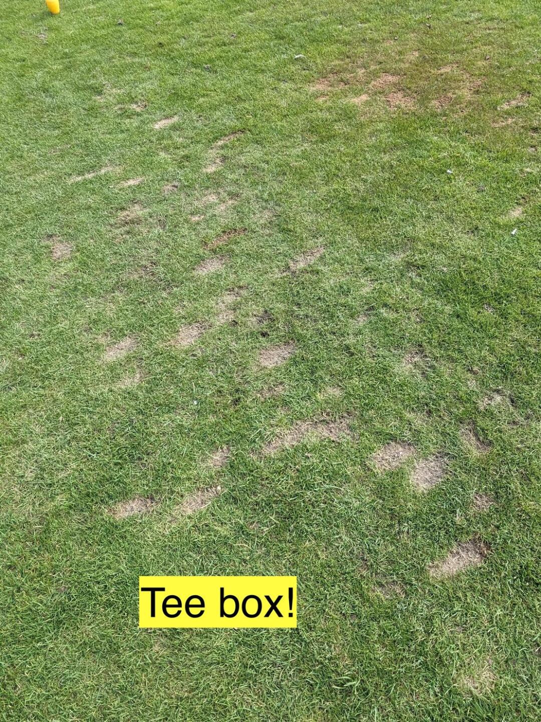 (Photo submitted by u454909756 on 02/08/2024)