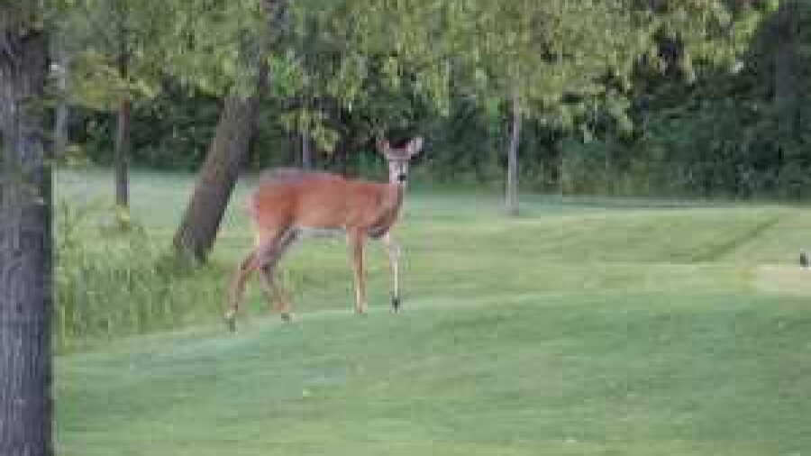 Heritage Woods GC