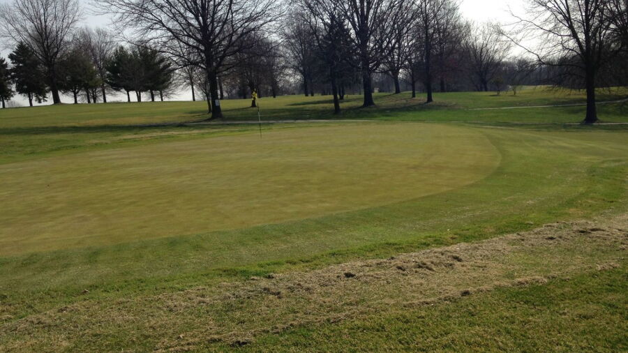 Godwin's Village Green: #9