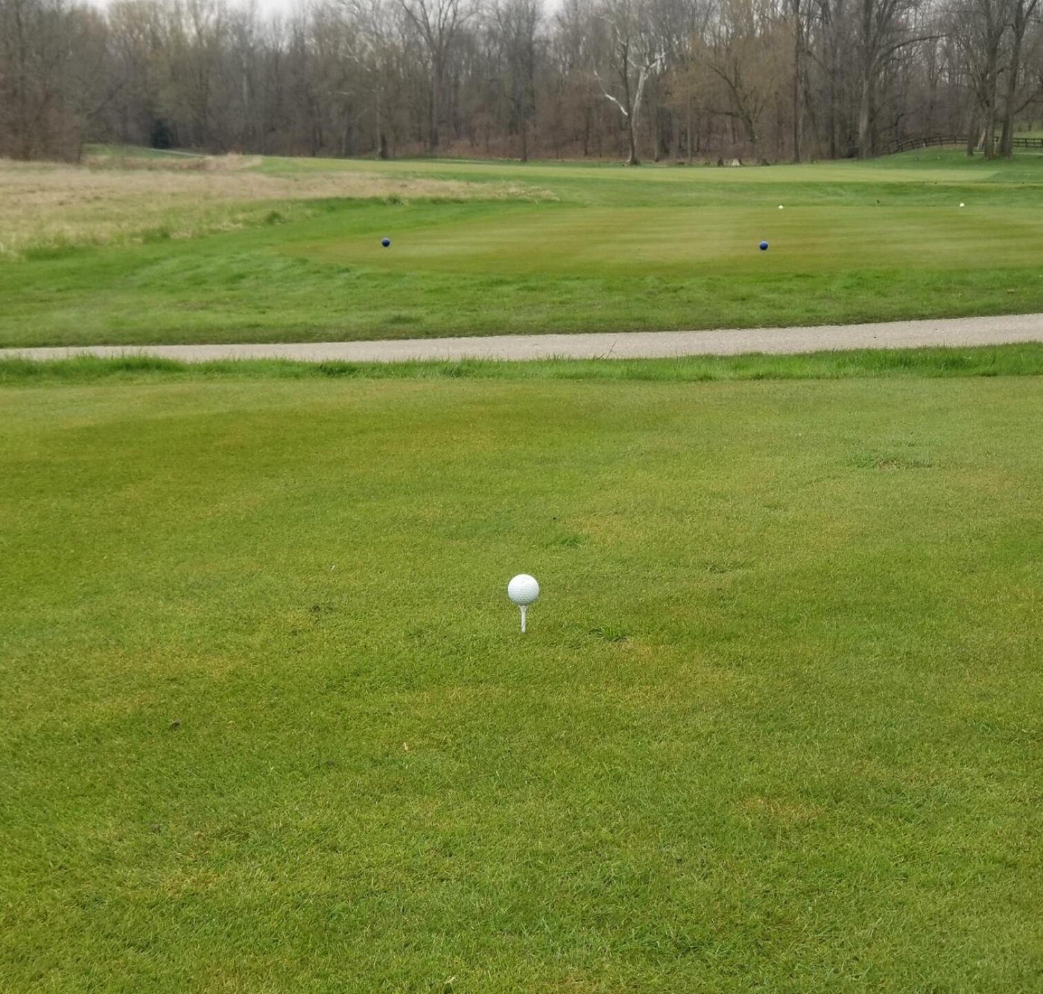#16 par 5 (Photo submitted by ShortKnocker1 on 04/07/2020)