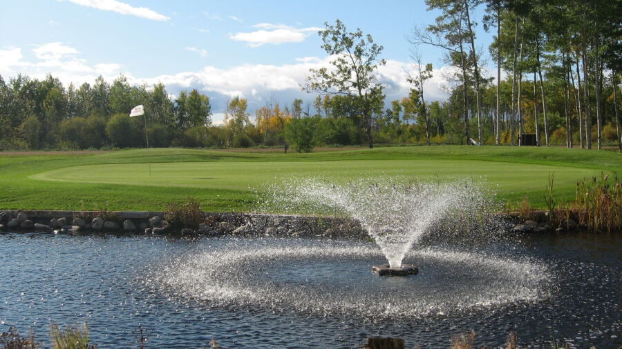 Fox Haven GCC: #18