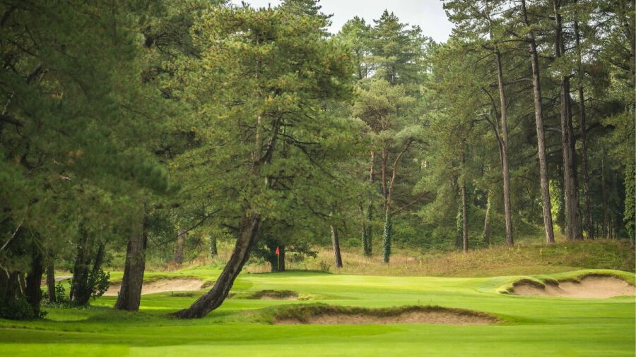 Hardelot GC - The Pines