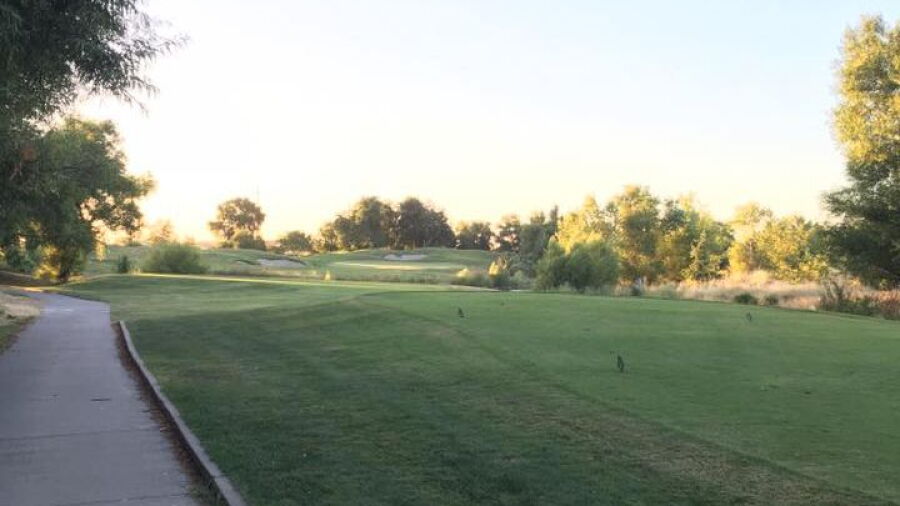 Wildhorse GC: #12