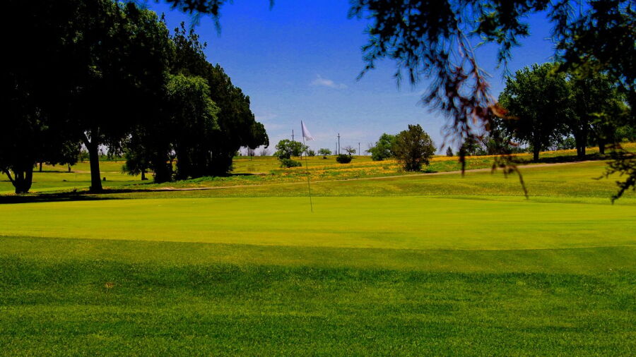 Twisted Elms GC