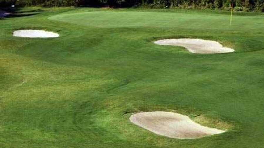 Stone Tree GC