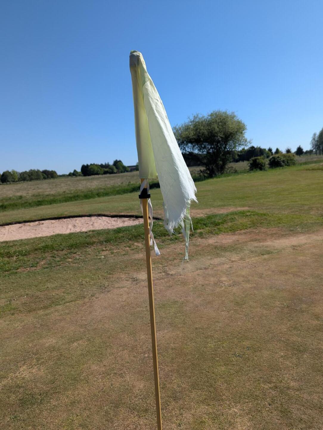 (Photo submitted by GmmEbstbi01BXoyJBZPF on 05/13/2025)