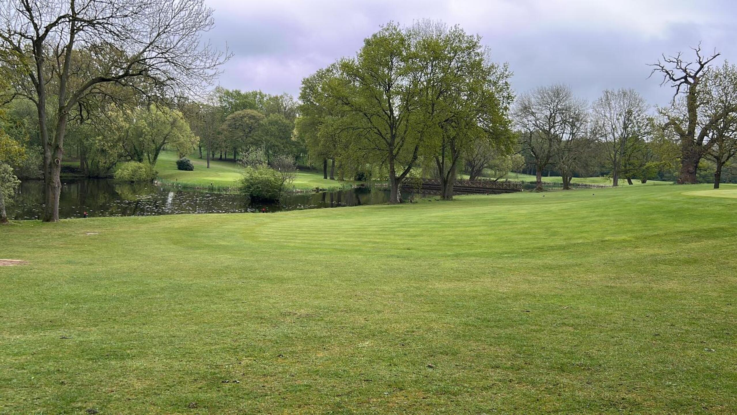 (Photo submitted by So8Ys9O8eKWnHXVHwsWq on 04/22/2025)