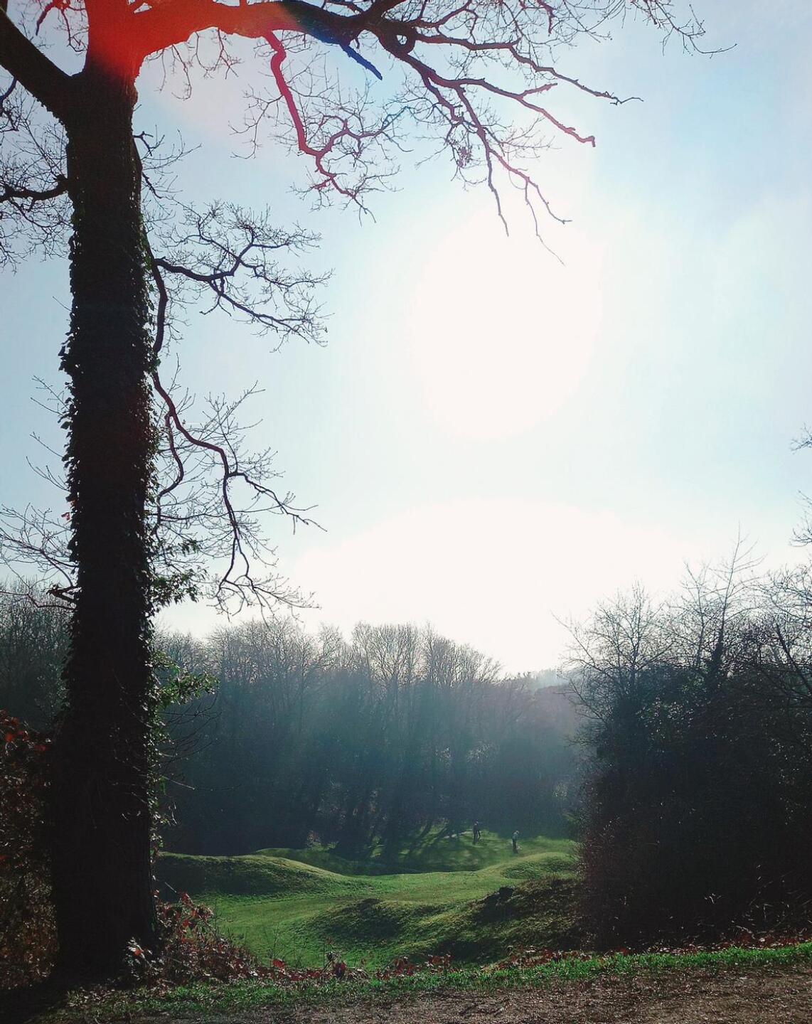 Third hole from the tee. (Photo submitted by u314162441922 on 02/15/2023)