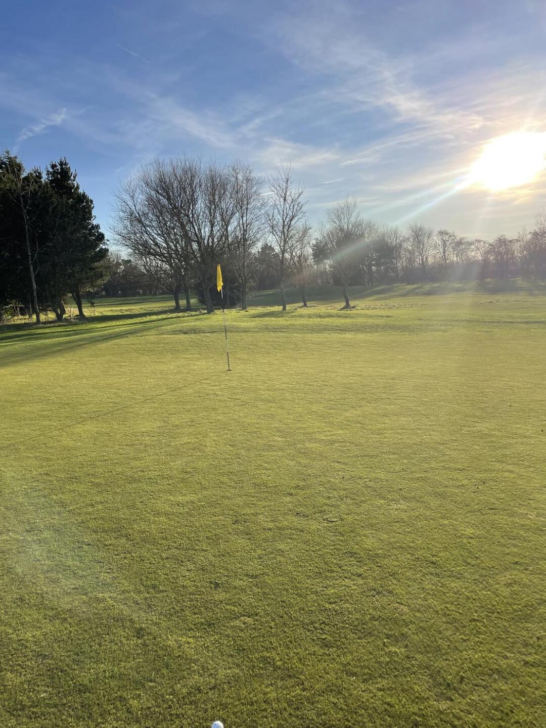 (Photo submitted by 18ulm0voXV1sP0dK1mZo on 01/16/2025)