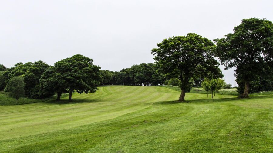 Calverley GC