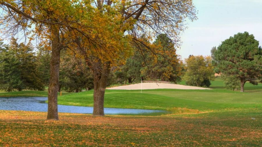 Albion CC: #8