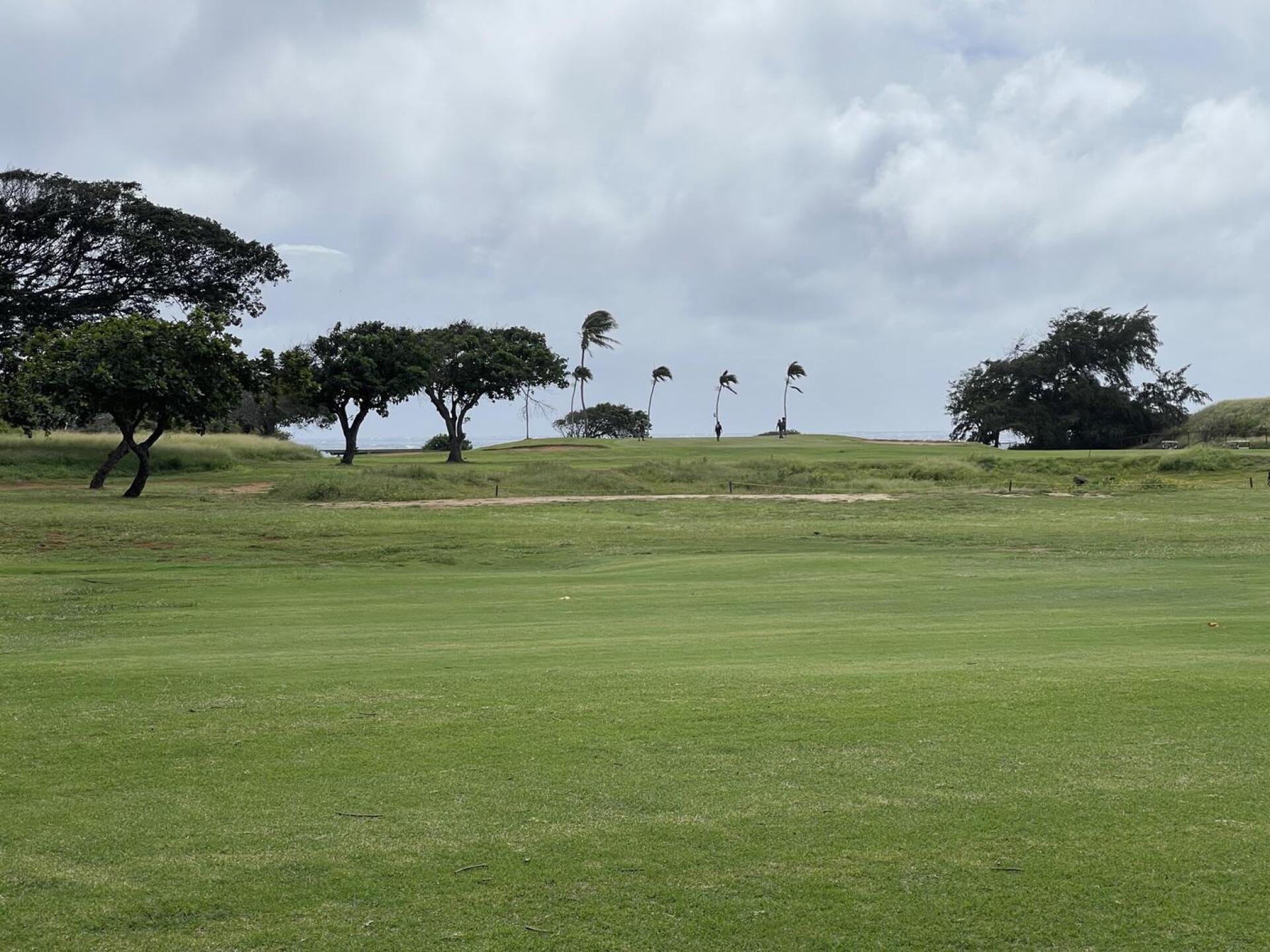 (Photo submitted by qmSTJMI1cXh2Oy1bAtdt on 02/17/2026)