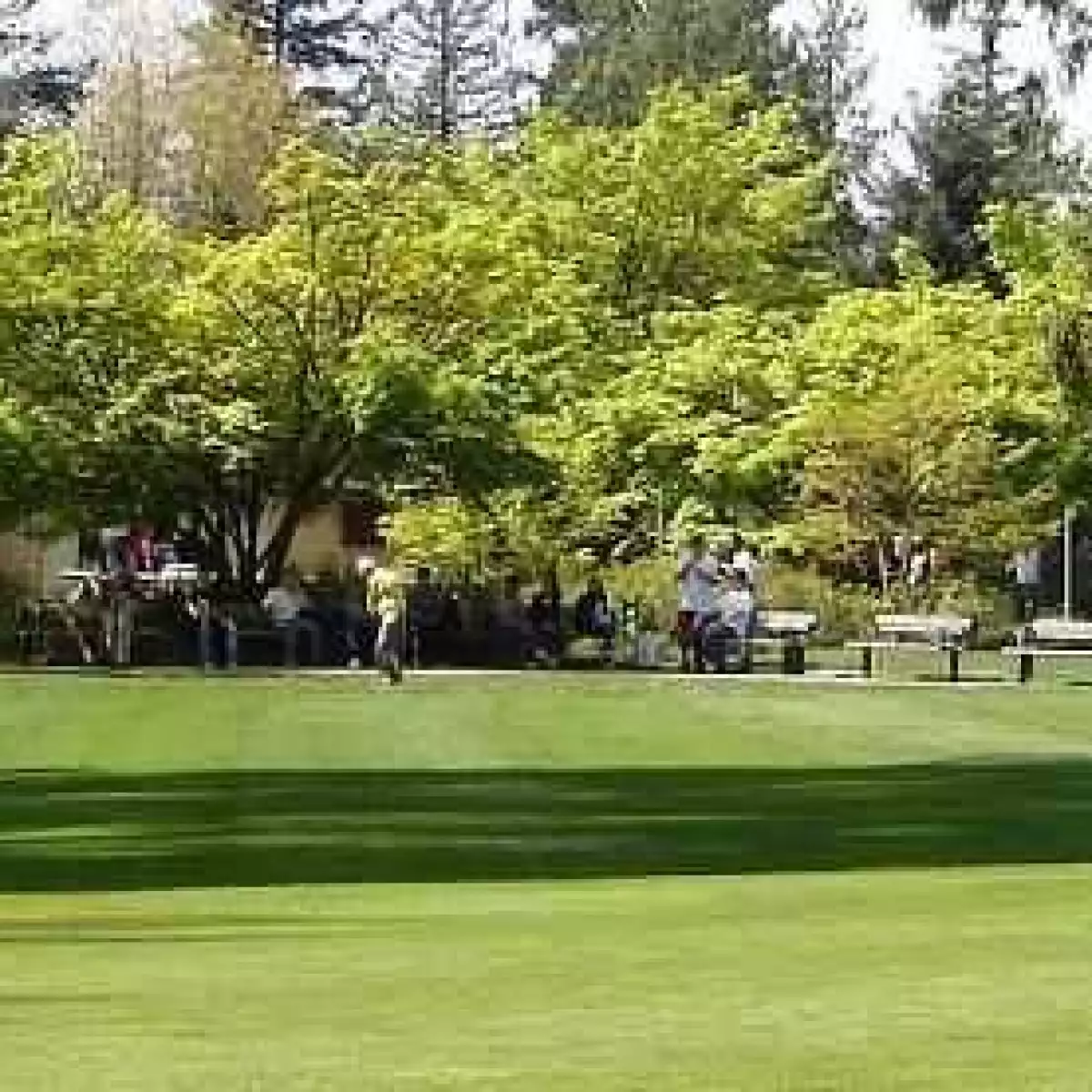 Central Park Pitch and Putt in Burnaby, British Columbia, Canada GolfPass