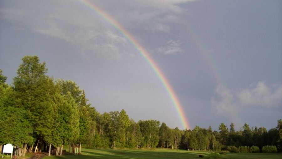 Blue Heron G & CC