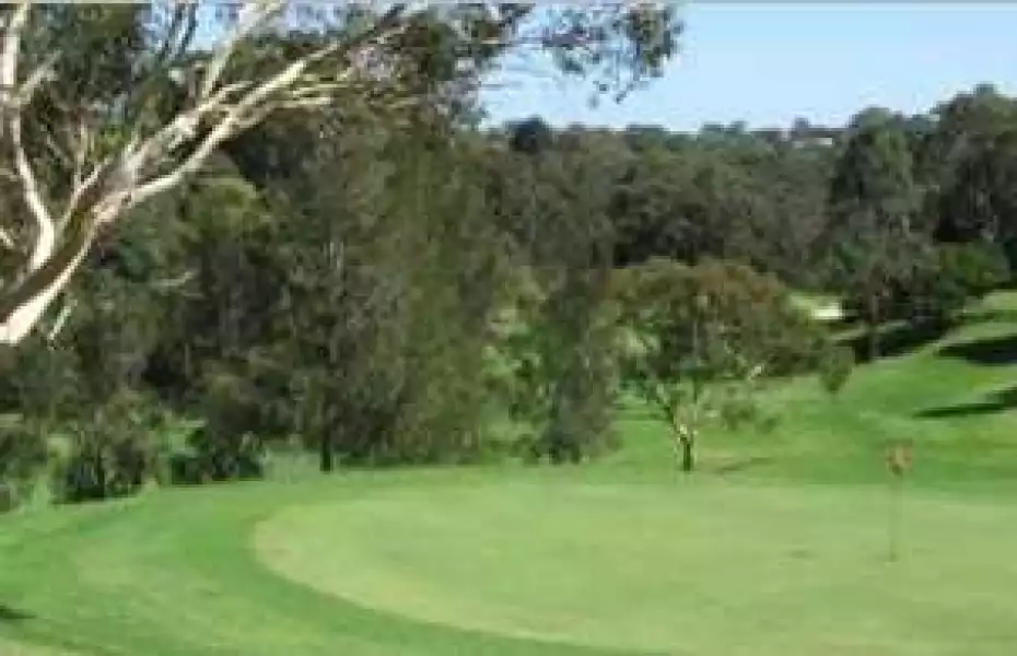 Lane Cove CC: #11