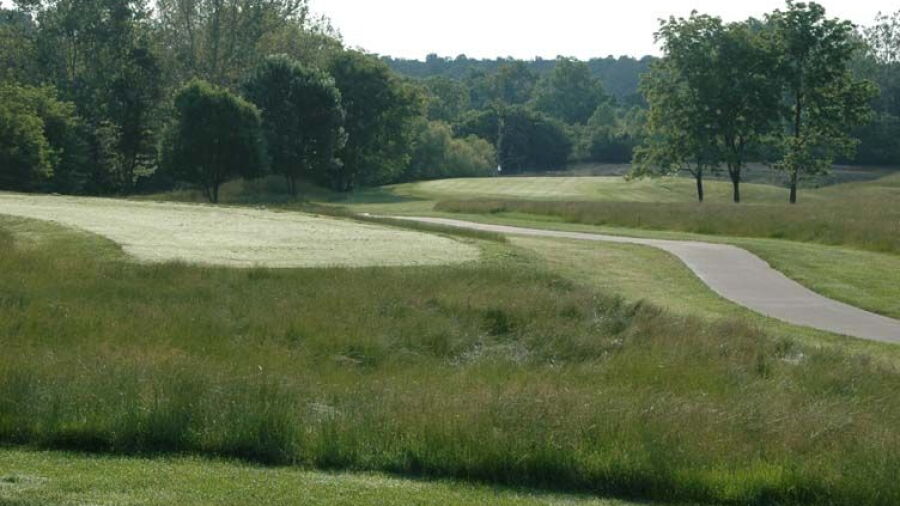 Stone Crest GC - West Nine: #8